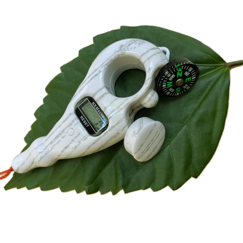Mantra Jaap Digital Tally Counting with Compass
